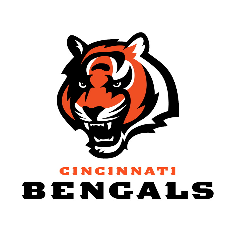 CIN logo